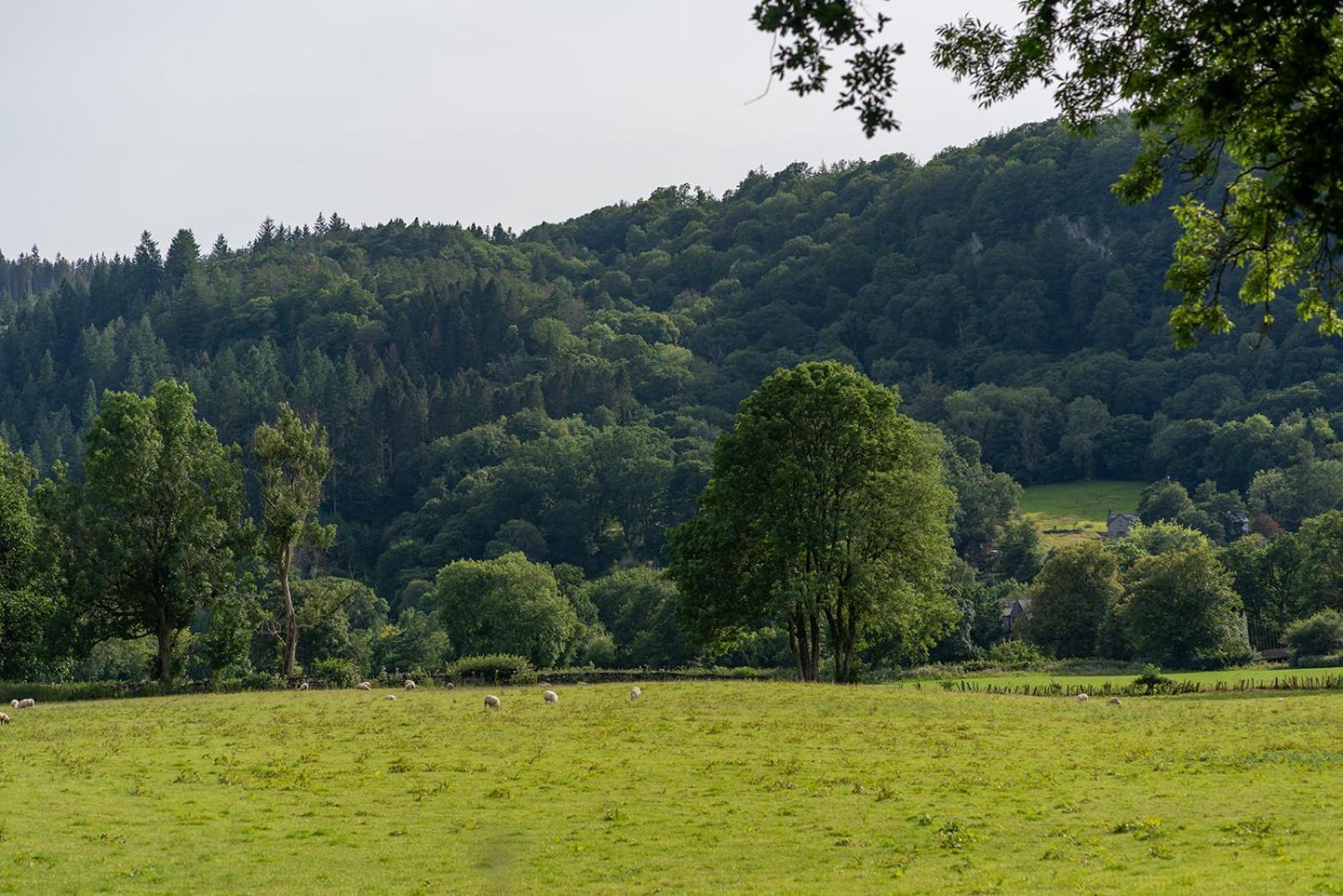 Glanrhyd Cottage Бетус-і-Койд Екстер'єр фото